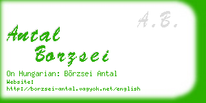 antal borzsei business card